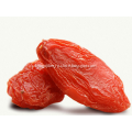 Sweet Conventional Goji Berry Wholesale Chinese Wolfberry